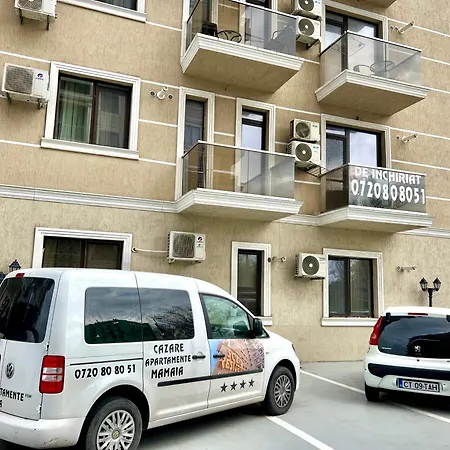 Solid * Mamaia